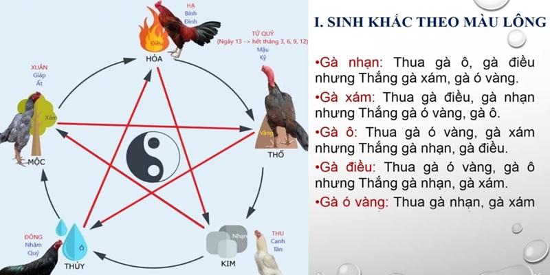 Xem mệnh dựa vào tương sinh, tương khắc và tương hợp